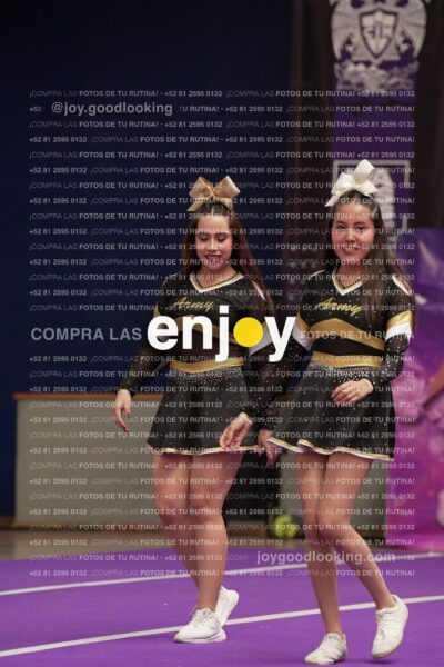 Joy12 Joy07461