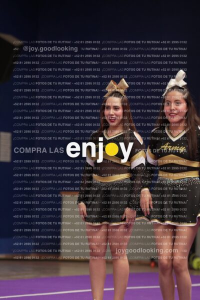 Joy12 Joy07464
