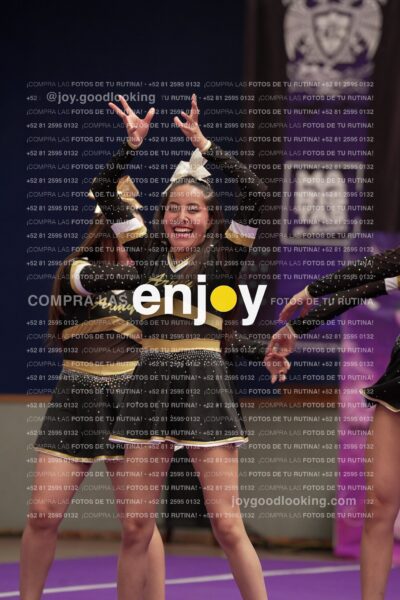 Joy12 Joy07466