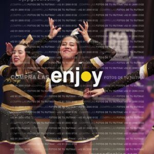 Joy12 Joy07467