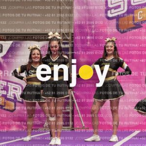 Joy12 Joy07474