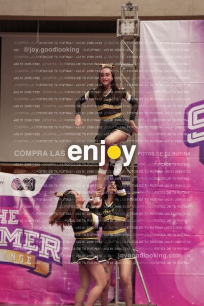 Joy12 Joy07487