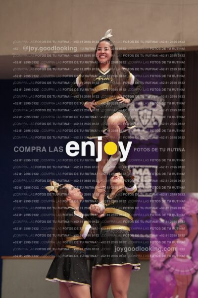 Joy12 Joy07489