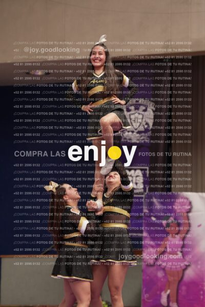 Joy12 Joy07490