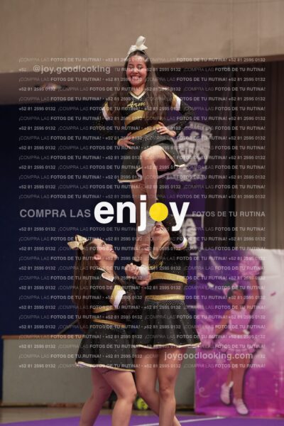 Joy12 Joy07491