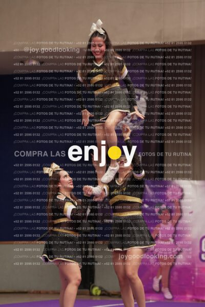 Joy12 Joy07492