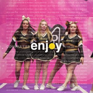 Joy12 Joy07493