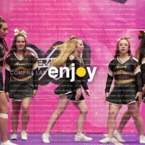 Joy12 Joy07494