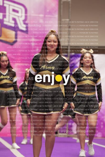 Joy12 Joy07495