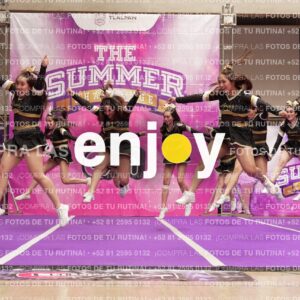 Joy12 Joy07500