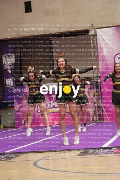 Joy12 Joy07519