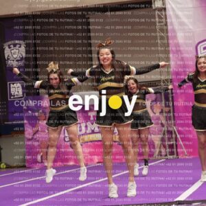 Joy12 Joy07519
