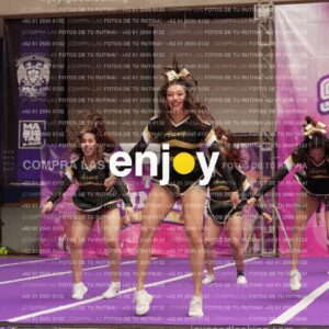 Joy12 Joy07523