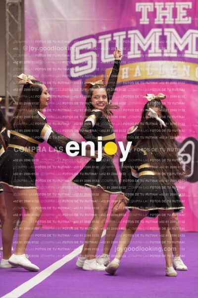 Joy12 Joy07528