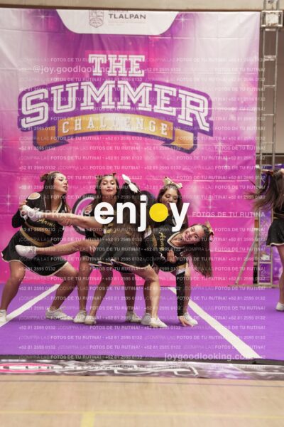 Joy12 Joy07536