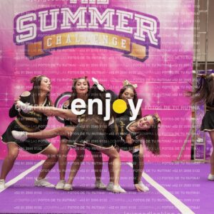Joy12 Joy07536