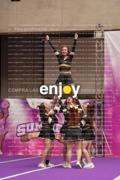 Joy12 Joy07543