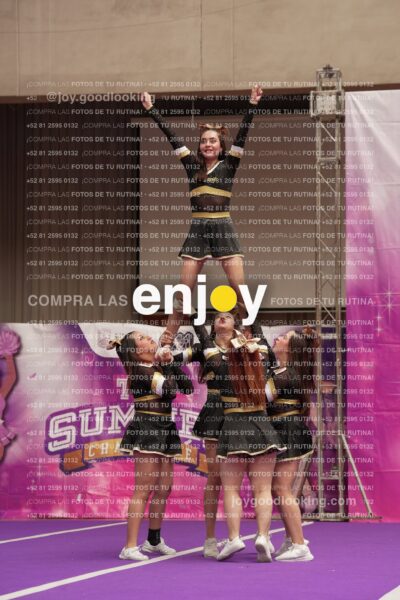 Joy12 Joy07544