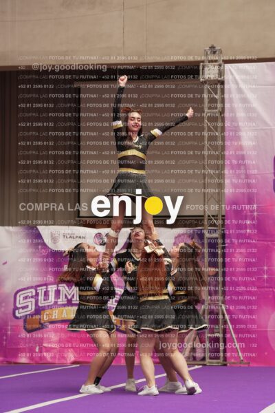 Joy12 Joy07545