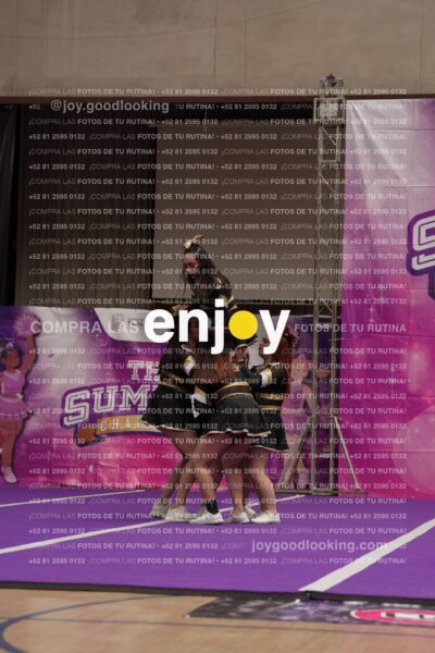 Joy12 Joy07561