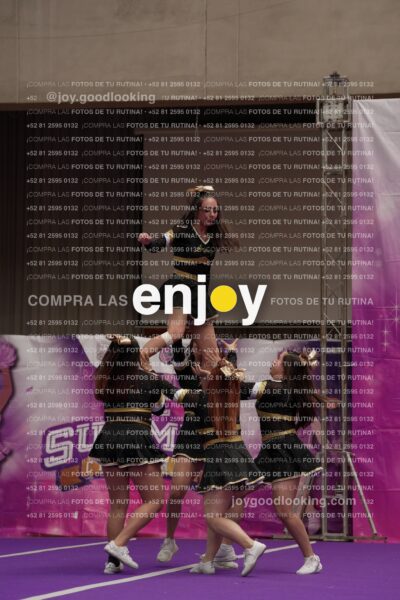 Joy12 Joy07565
