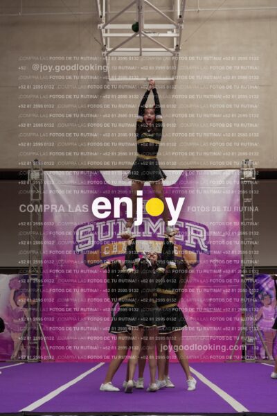 Joy12 Joy07570