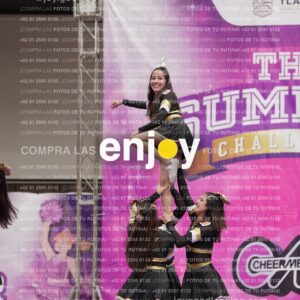 Joy12 Joy07594