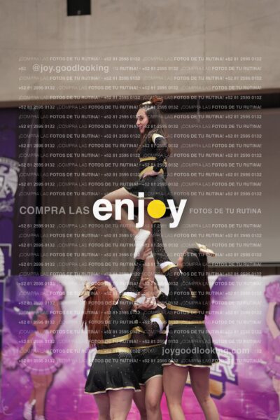 Joy12 Joy07595