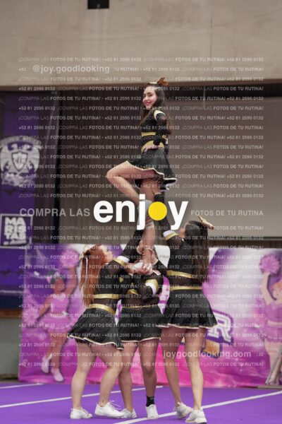 Joy12 Joy07596