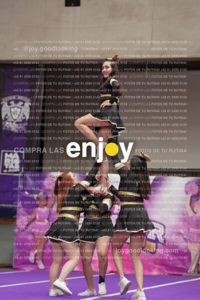 Joy12 Joy07597