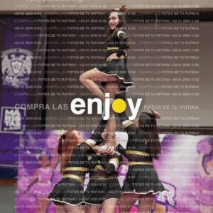 Joy12 Joy07597