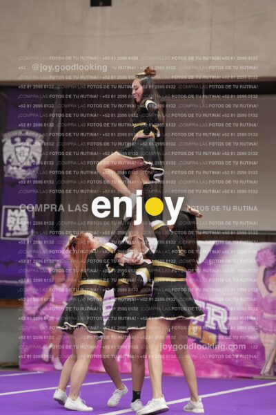Joy12 Joy07598