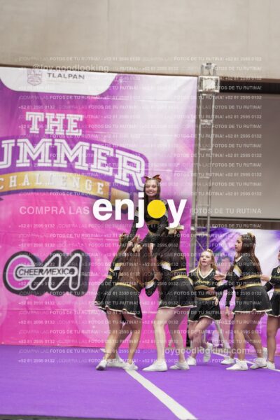 Joy12 Joy07605