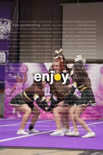 Joy12 Joy07608