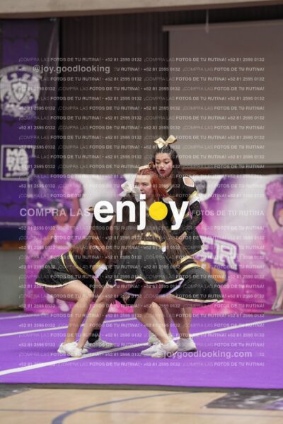 Joy12 Joy07610