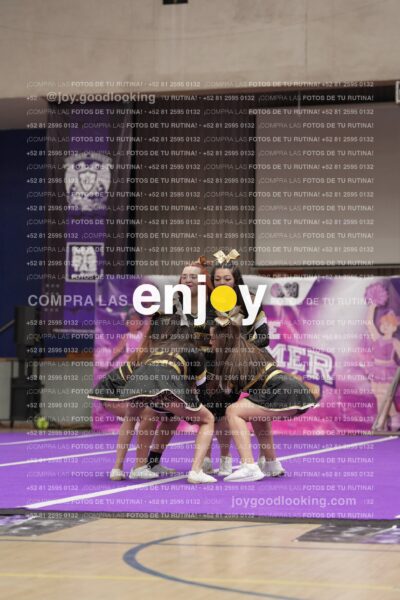 Joy12 Joy07613