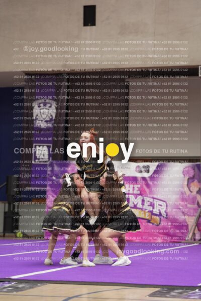 Joy12 Joy07617