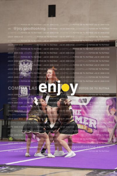 Joy12 Joy07618