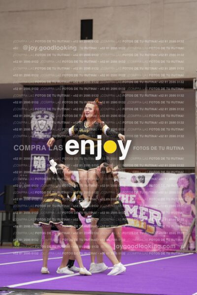 Joy12 Joy07619