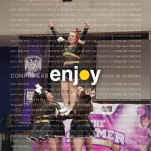 Joy12 Joy07620