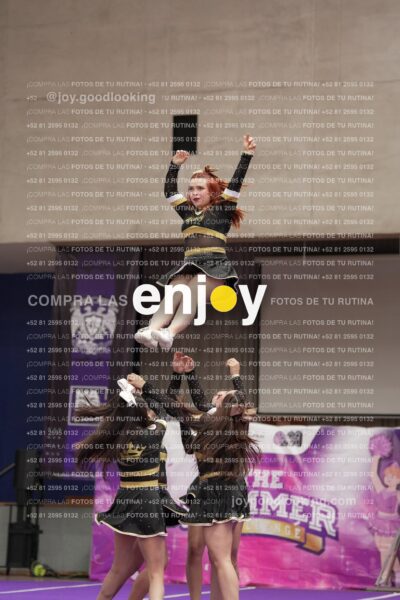 Joy12 Joy07622