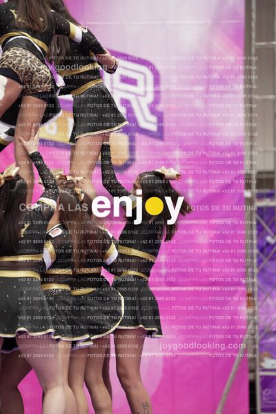 Joy12 Joy07632