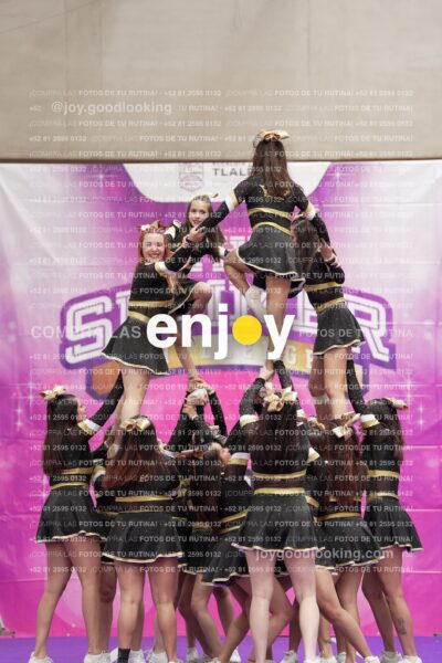 Joy12 Joy07633