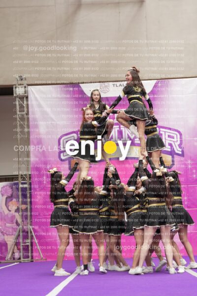 Joy12 Joy07636