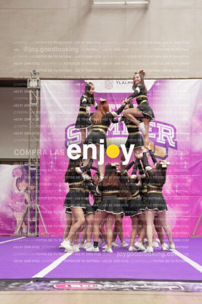 Joy12 Joy07639