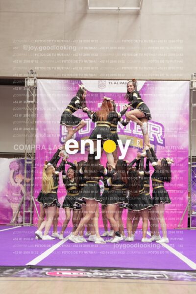 Joy12 Joy07643