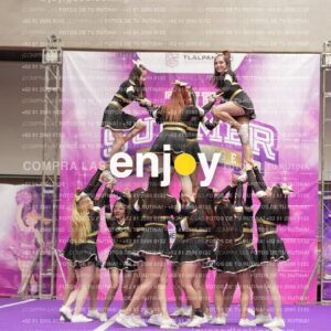 Joy12 Joy07643