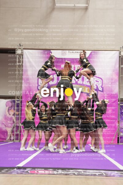 Joy12 Joy07644