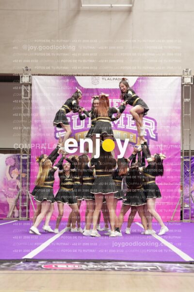 Joy12 Joy07646
