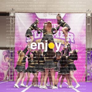 Joy12 Joy07646